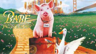 Babe: Pig in the City 1998