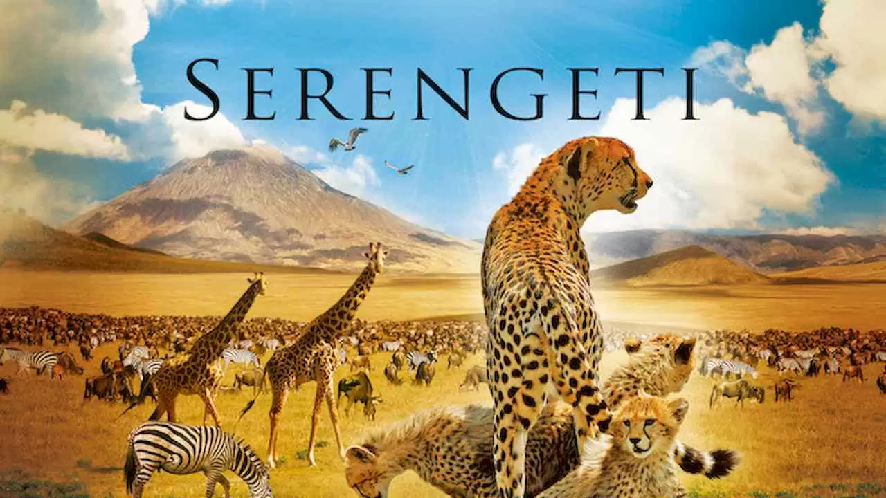 Serengeti2011