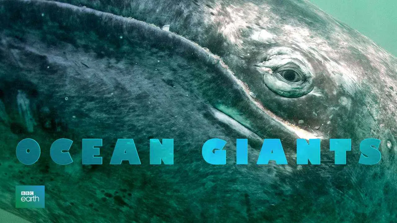 Ocean Giants2011