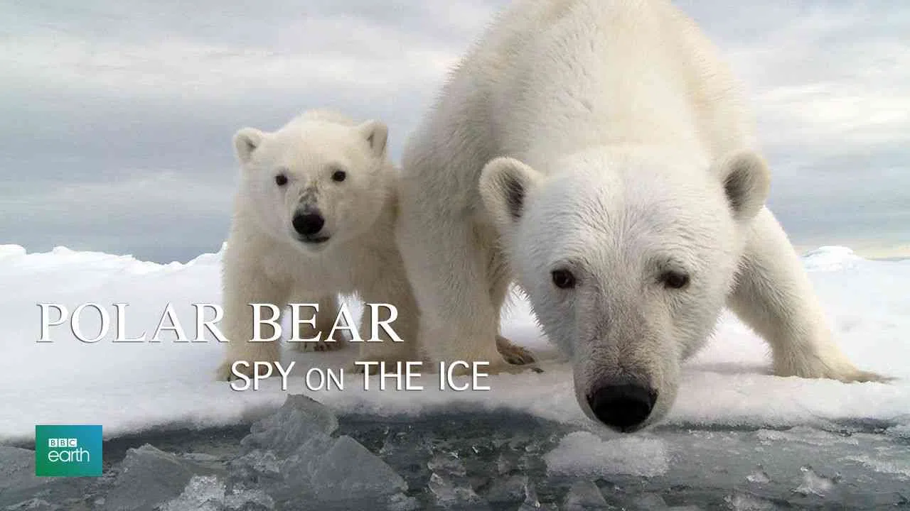 Polar Bear: Spy on the Ice2010