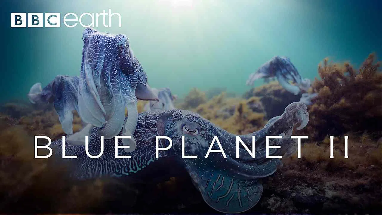 klippe Reklame Høre fra Is Documentary 'Blue Planet II 2017' streaming on Netflix?