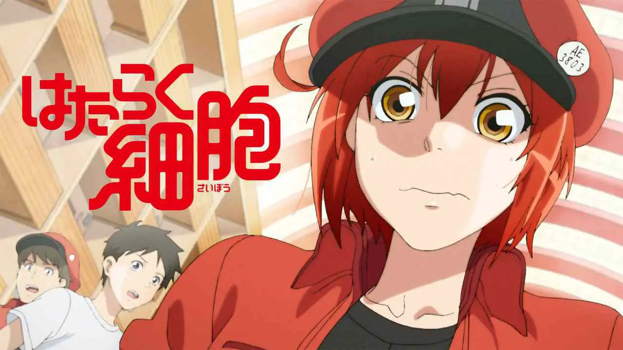Is TV Show 'Cells at Work! 2018' streaming on Netflix?