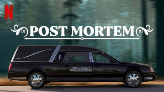Post Mortem: No One Dies in Skarnes 2021