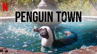 Penguin Town 2021