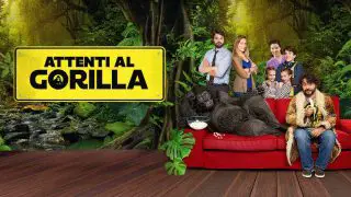 Attenti al gorilla 2019