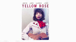 Yellow Rose 2020