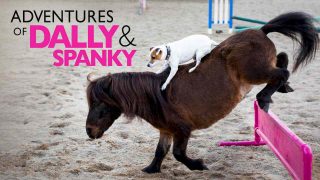 Adventures Of Dally & Spanky 2019