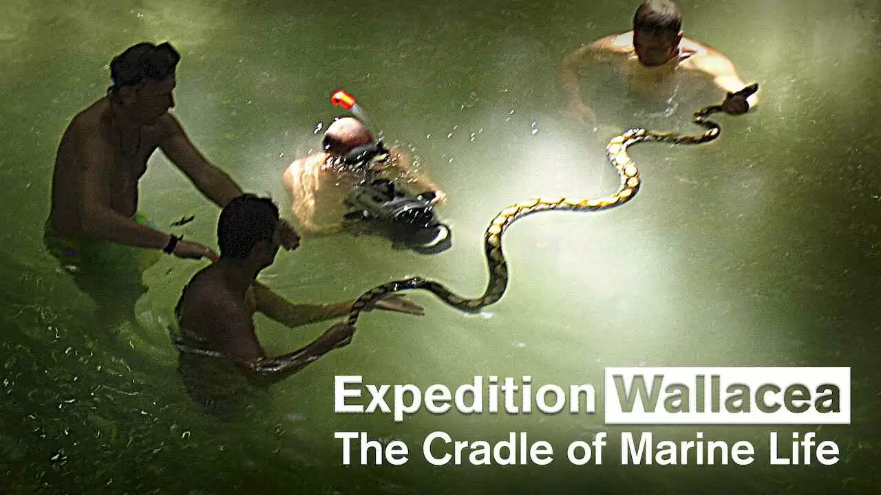 Expedition Wallacea – The Cradle of Marine Life2007