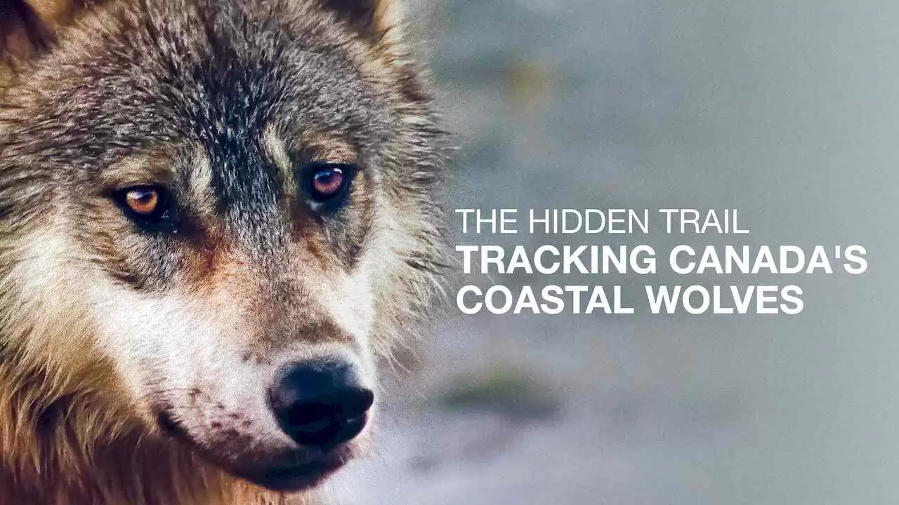 The Hidden Trail: Tracking Canada’s Coastal Wolves (Auf der Spur der Küstenwölfe)2006