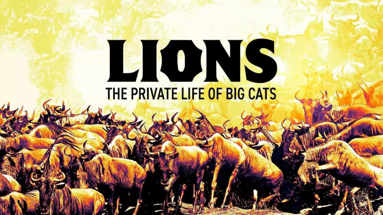 Lions – The Private Life of Big Cats2016