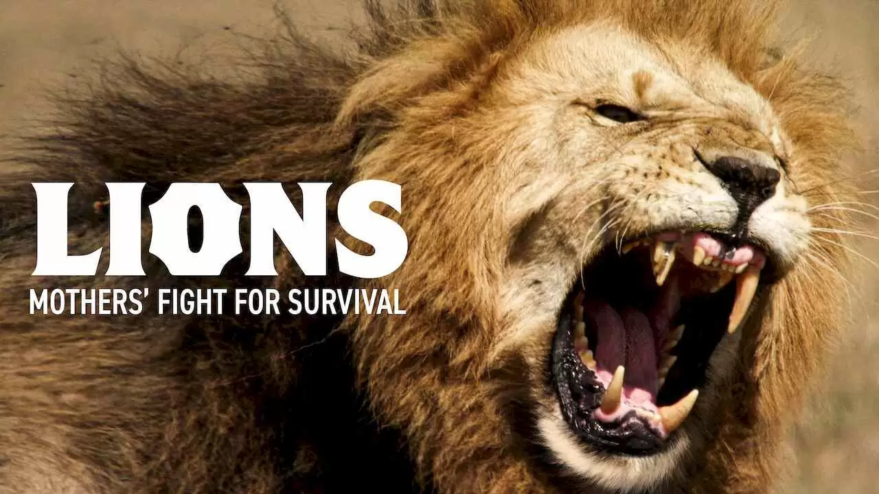 Lions – Mothers’ Fight for Survival2016