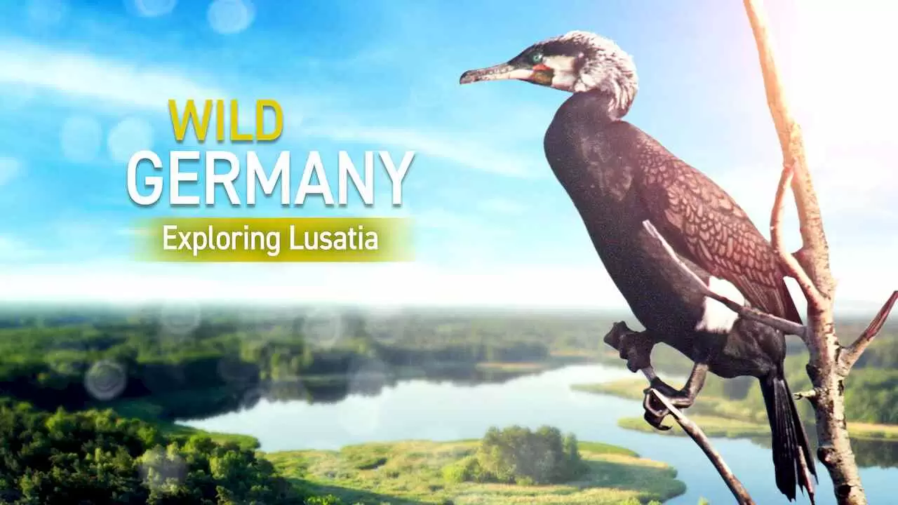 Wild Germany – Exploring Lusatia2013